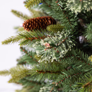 Hayden Pine Slim Christmas Tree with Twinkling Multicolor LED Lights - 7 Foot - Christmas >> Trees and Wreaths - by Holiday L