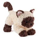 Bootsie Siamese Kitten