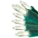 Warm White LED String Lights - 50 Light - Green Wire