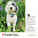 365 Dogs Page-A-Day Calendar 2026: The World's Favorite Dog Calendar