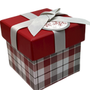 Gift Box Cube for Gift Cards - 3" x 3" - Snowflake Plaid