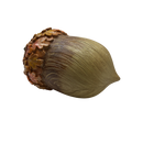 Resin Harvest Acorn - Large