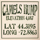 Local Towns Ceramic Coaster - Camels Hump - Coasters - by Paint The Town