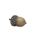 Resin Textured Harvest Acorn - Small - Holidays >> Thanksgiving and Harvest - by Gerson