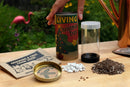 Living Christmas Tree  Seed Grow Kit - Trees - by The Jonsteen Company - view 2