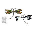 Dragonfly Inspriational Pocket Charm -