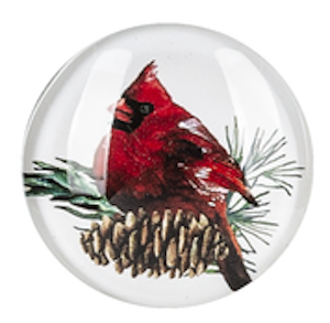 Cardinal Looking Right Magnet
