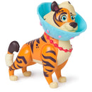 Vida the Vet - Feel Better KOA Pack