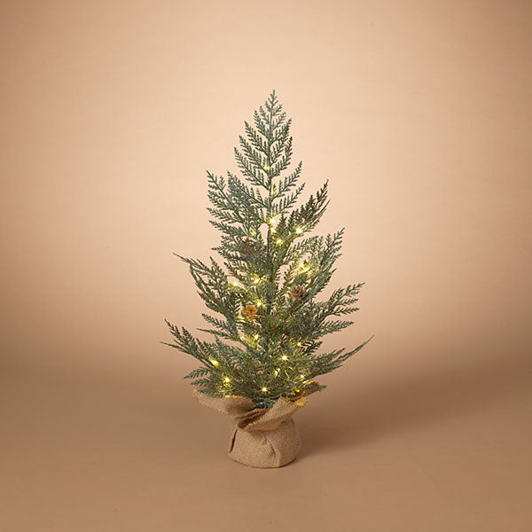 Lighted Pine Tree in Burlap Base - 24 Inch - The Country Christmas Loft