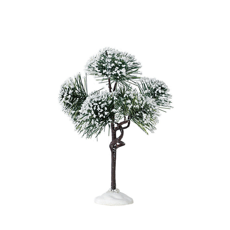 Mountain Pine Tree - 6 Inch - The Country Christmas Loft
