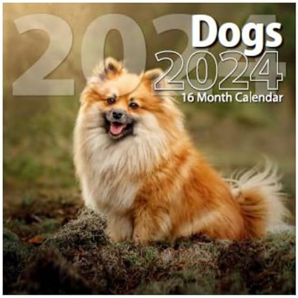 2024 Dogs Full Size Wall Calendar