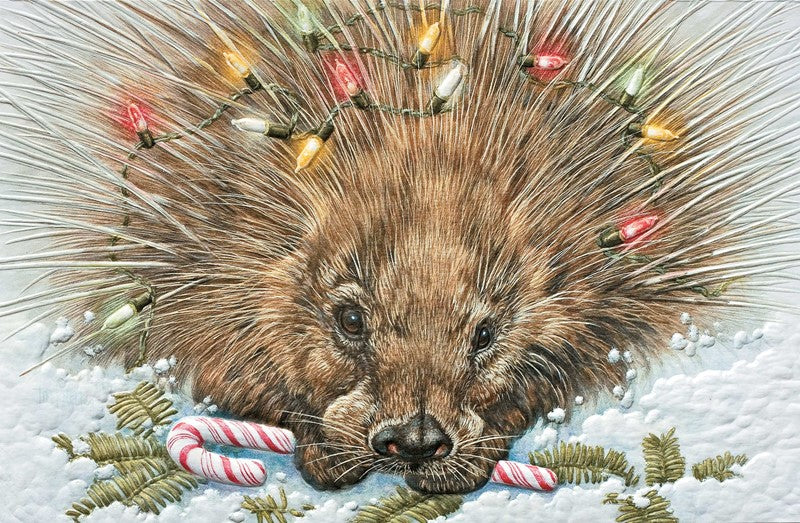Princley Porcupine Boxed Cards - The Country Christmas Loft