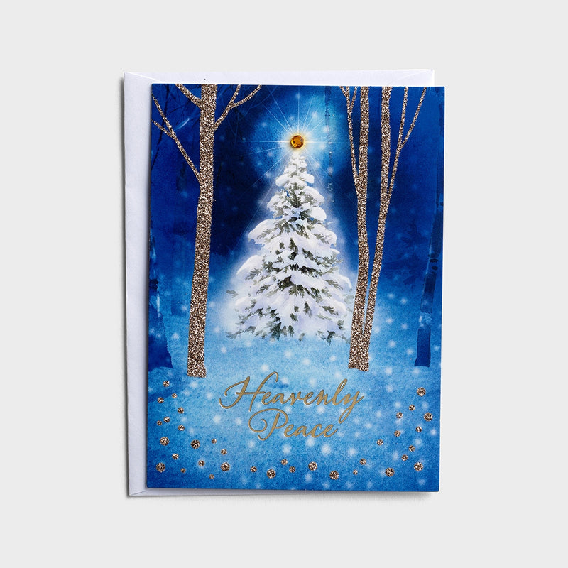 Snowy Secnes /Dual Pack  Christmas Boxed Cards - The Country Christmas Loft