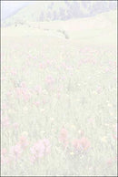 Blank Card - Mountain Gallery - The Country Christmas Loft