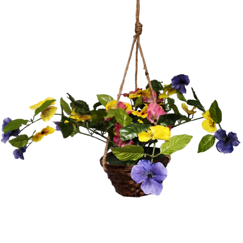Trailing Pansy Flowers in 8" Hanging Bamboo Basket -