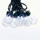 Kurt Adler Ul 20-Light Cool White Old Fashioned Light Set - The Country Christmas Loft