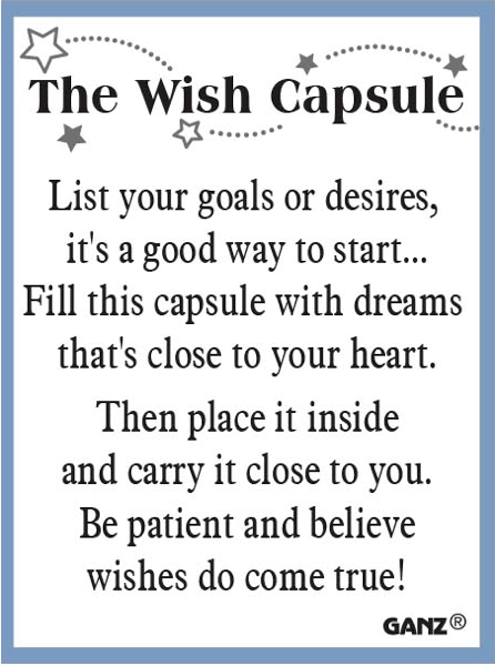 The Wish Capsule Charm