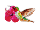 Hummingbird Screen Door Savers -