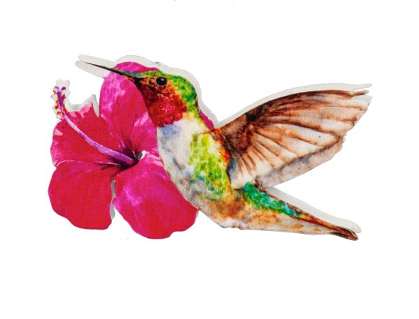 Hummingbird Screen Door Savers -