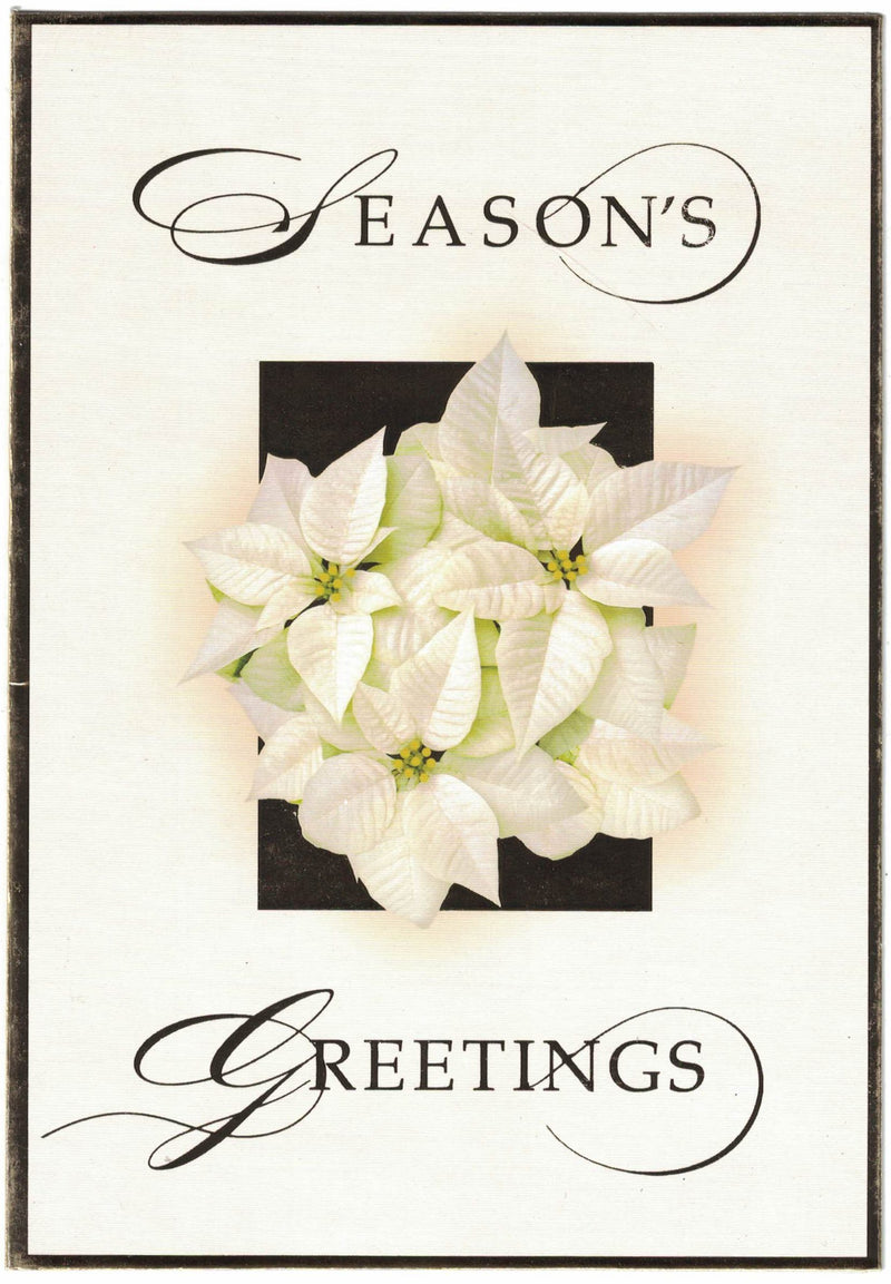Luxury Favorites - 18 Count Boxed Cards - White Poinsettia - The Country Christmas Loft
