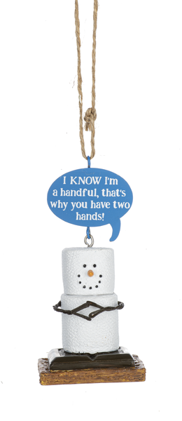 Toasted S'mores Humor Pun Ornaments - Handful - The Country Christmas Loft