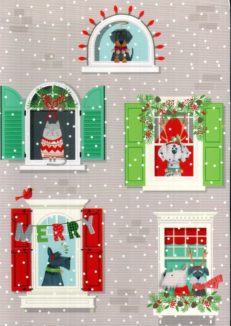 Love of Pets 18 Card Boxed Set - Festive Dogs - The Country Christmas Loft