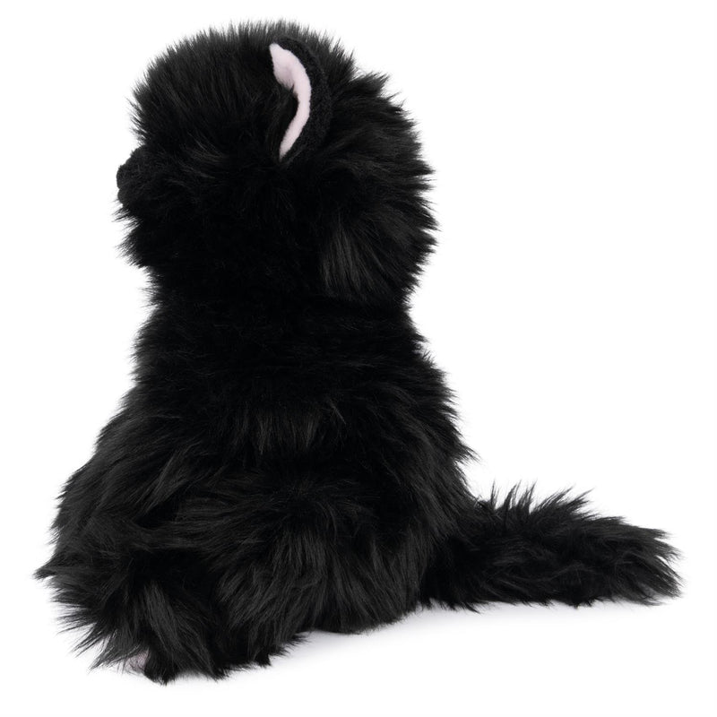 Xavier  Kitten - The Country Christmas Loft