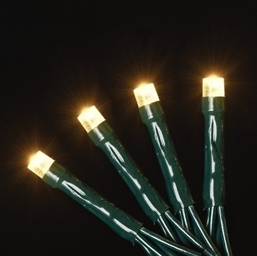 USB powered 50 LED (12.8 foot) Green Wire Multifunction Lights with Timer -  Warm White - The Country Christmas Loft