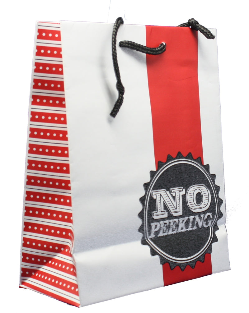 Contemporary Gift Bag With Tissue - No Peeking Medium - The Country Christmas Loft