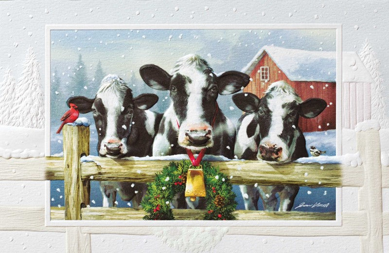 Holiday Holstein Christmas Boxed Cards