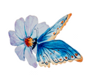 Butterfly Screen Saver -