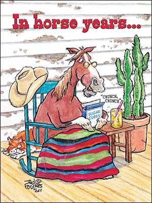 Birthday Card - Horse Years - The Country Christmas Loft