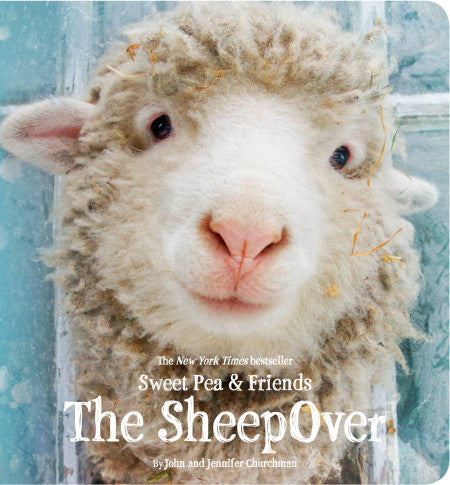 The Sheep Over Board Book