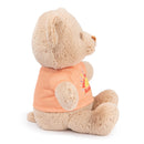 You Are my Sunshine Message Bear - The Country Christmas Loft