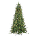 7.5' Natural Cut Frasier Fir - Clear Bulb - The Country Christmas Loft