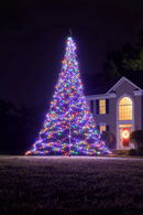 Fairybell 20 Foot Flagpole Tree - 1200 LED Multi-Color