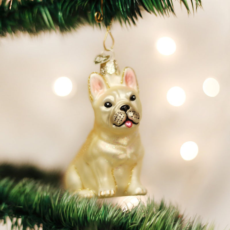 Old World Christmas French Bulldog Glass Blown Ornament - The Country Christmas Loft