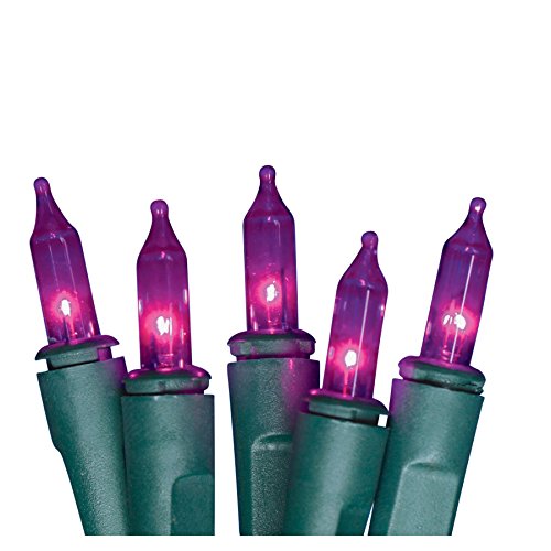 Holiday Living 100Ct Mini Light String - Purple/Green Wire - The Country Christmas Loft