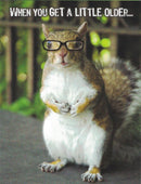 Notion - Little Older Birthday Card - The Country Christmas Loft