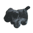 Plush Coin Bank - Black Lab - The Country Christmas Loft