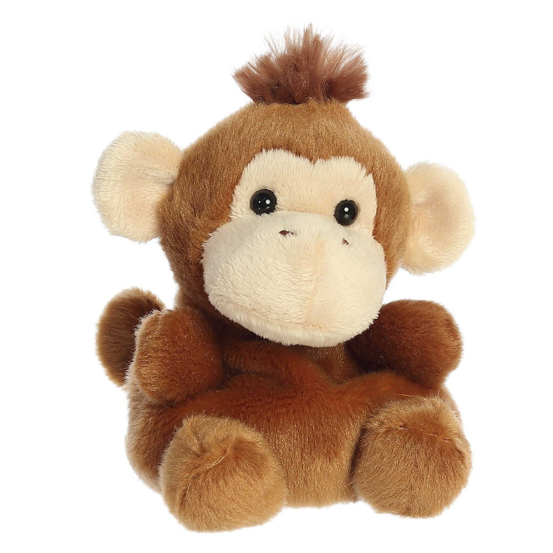 Boomer Monkey Palm Pal