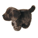 Plush Coin Bank - Chocolate Lab - The Country Christmas Loft
