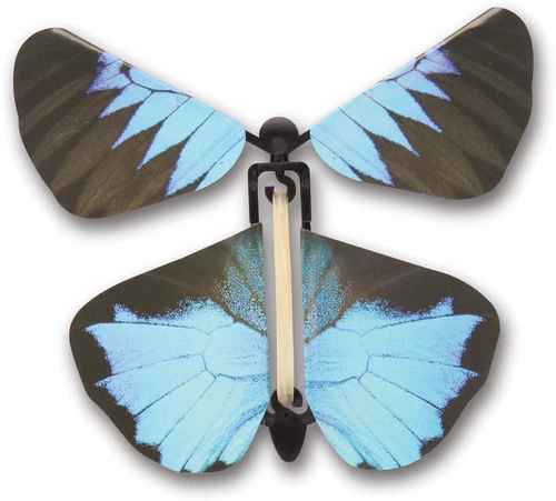 Wind up Australian Butterfly - Blue - The Country Christmas Loft