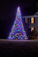 Fairybell 13 Foot Pole Tree - 640 LED Multi Color