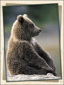 Thinking Of You Card - Sometimes I Just Sit And Ponder - The Country Christmas Loft