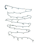 50-Light Warm White Soft Twinkle White Wire LED Light Set - The Country Christmas Loft