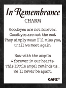 In Remembrance Charm