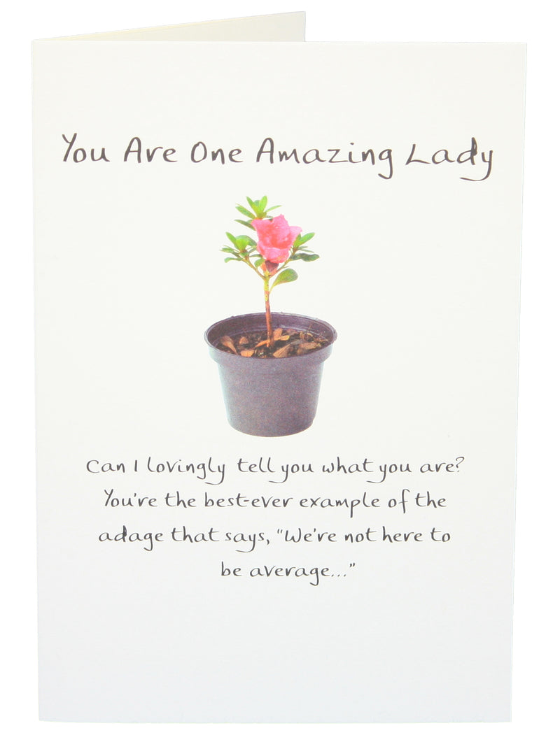 You are One Amazing Lady - The Country Christmas Loft