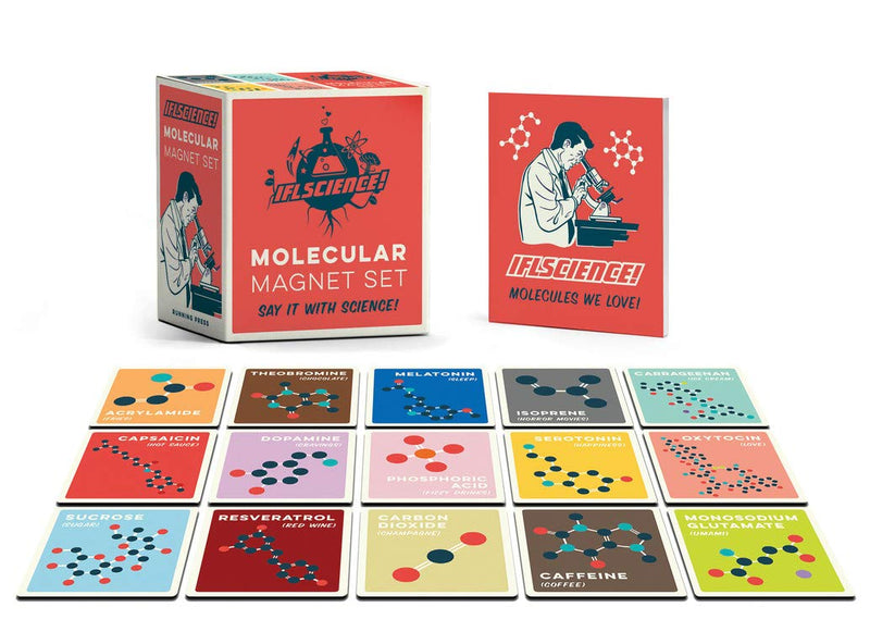 IFL Science Molecular Magnet Set Kit - The Country Christmas Loft