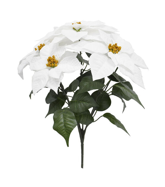 Poinsettia Bush - 20 inch - 5 Head - White